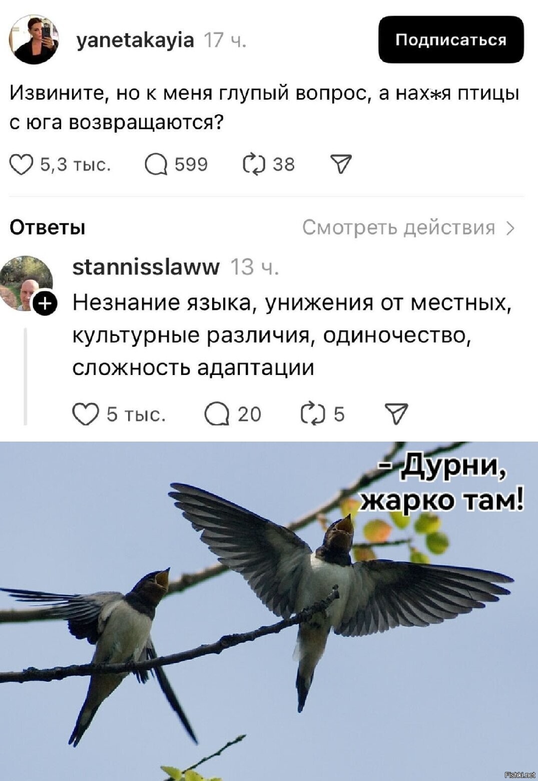 Солянка
