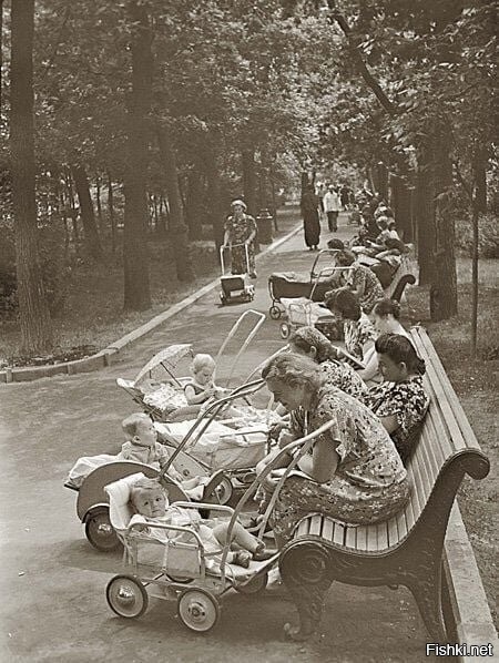 1955 год, семьи на прогулке