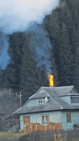 Солянка
