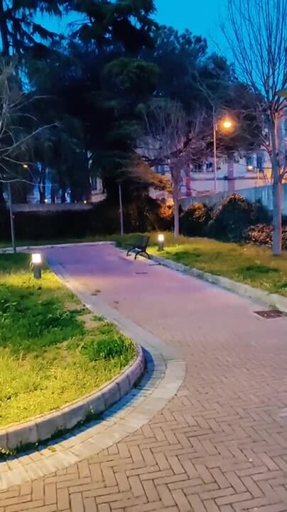Звучит как сценарий к современным новеллам