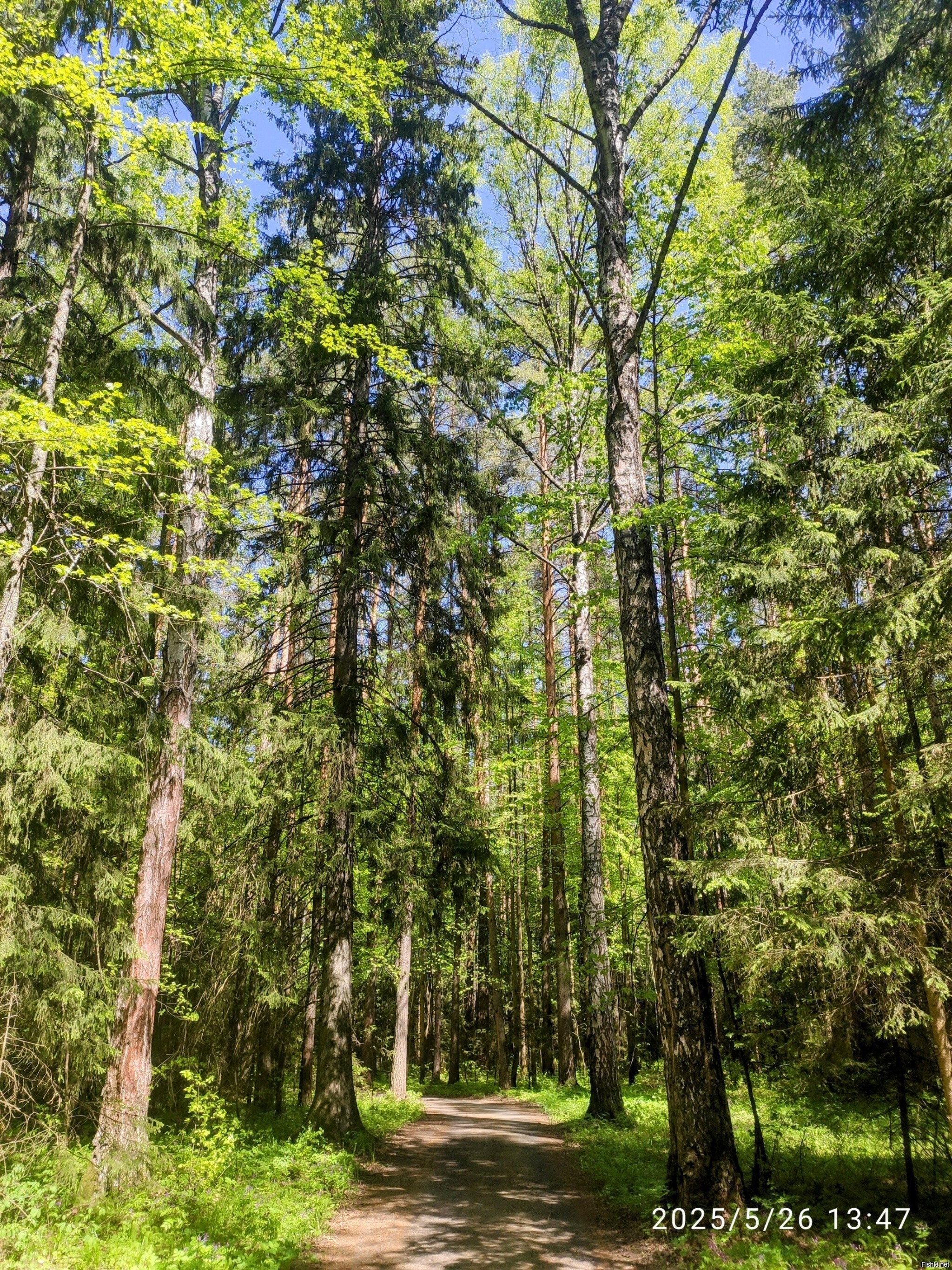 На окраине Перми