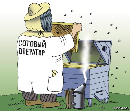 Солянка