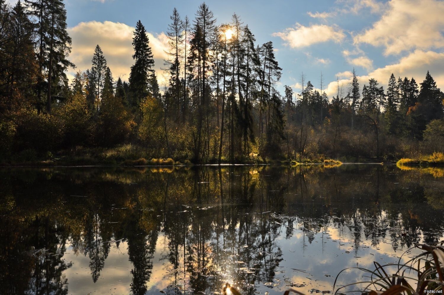 Солянка