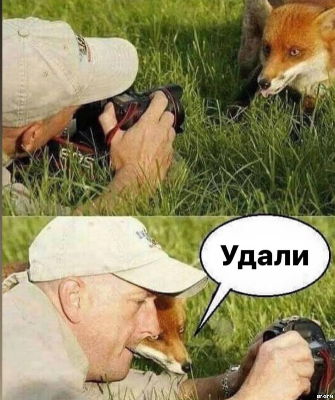 Солянка