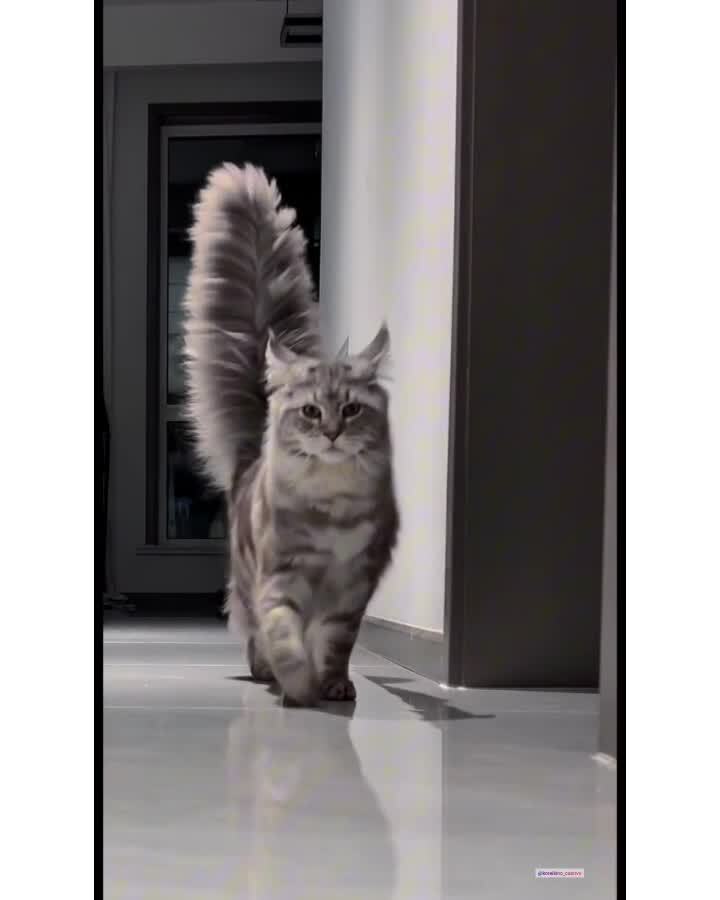 Эффектный проход)