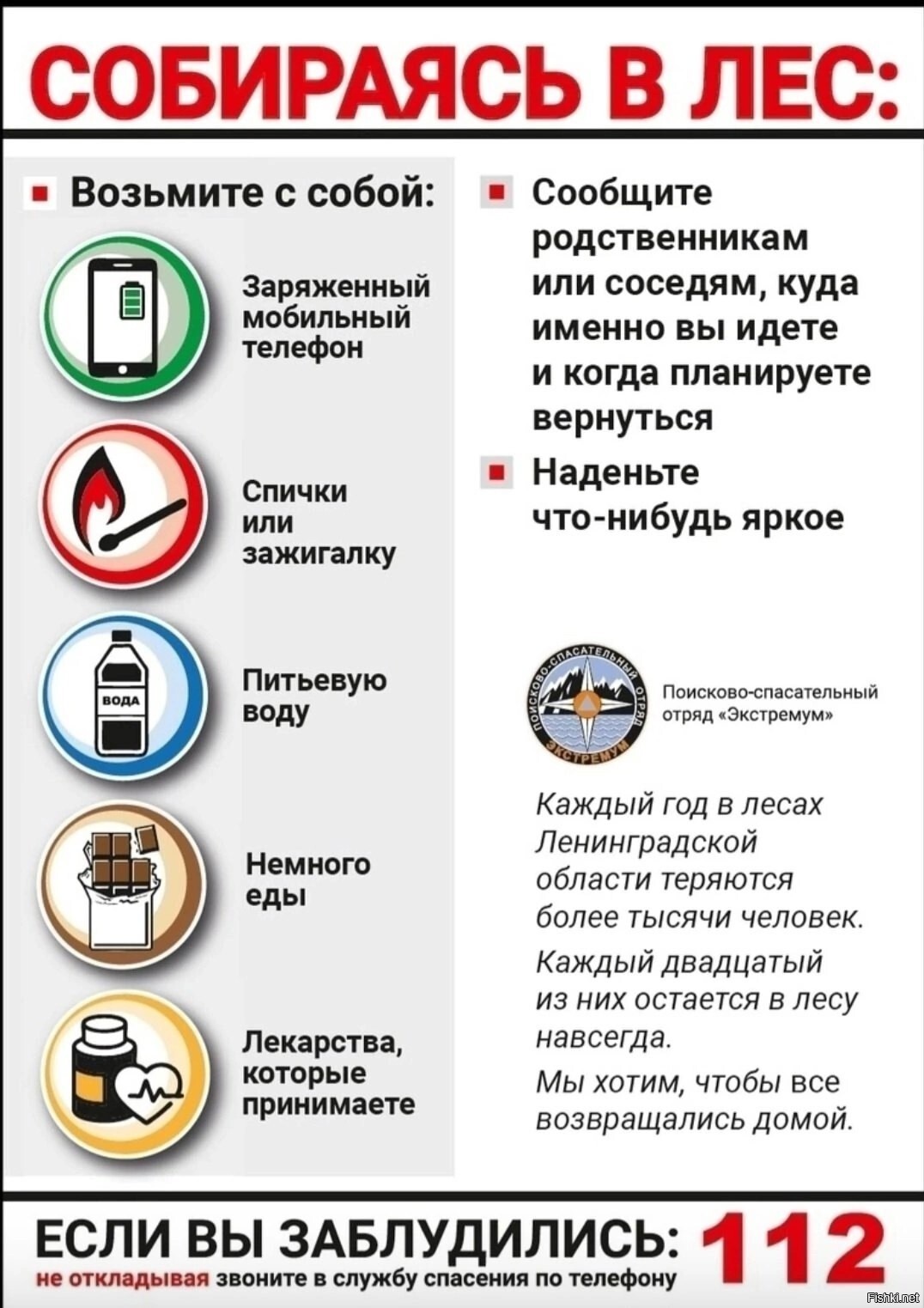 А если всё же Вас не нашли, дождитесь осени и ориентируйтесь по птицам