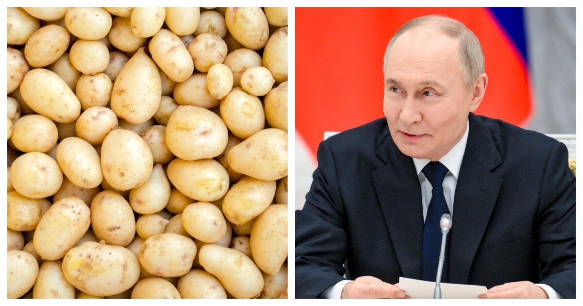Владимир Путин удивился дефициту картофеля в Белоруссии