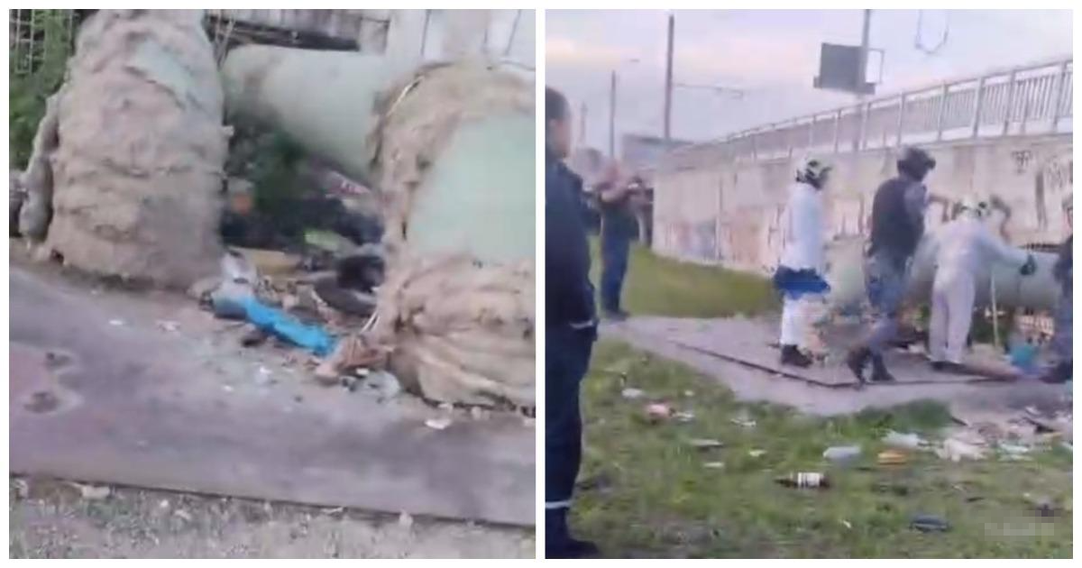 Собака спасла жизнь хозяина, обратив на&nbsp;него внимание своим лаем