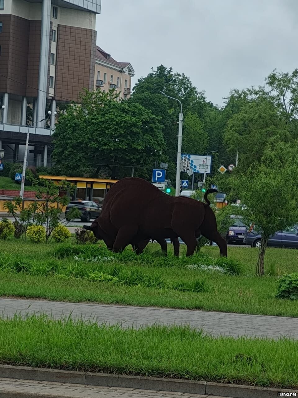 Уже в Минске