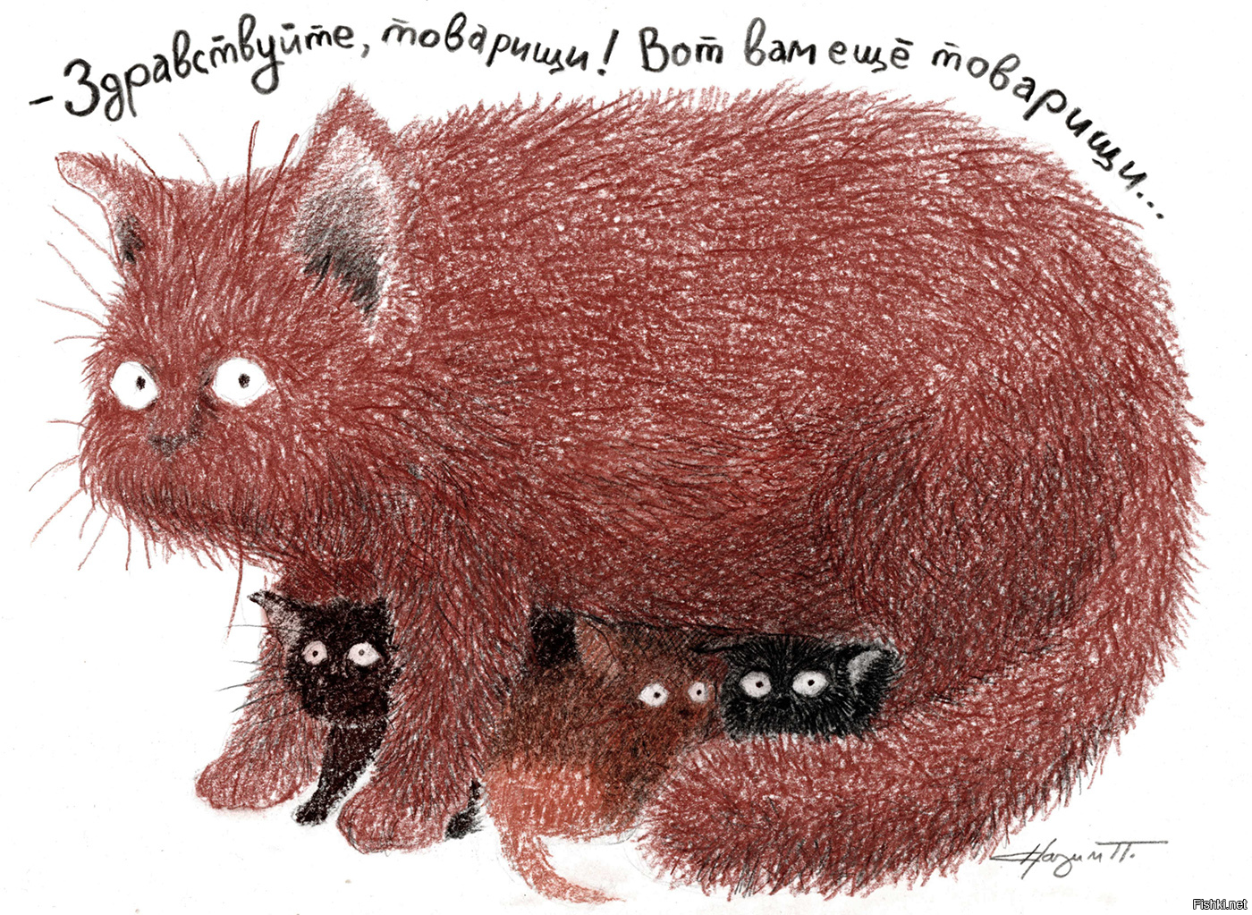 Солянка