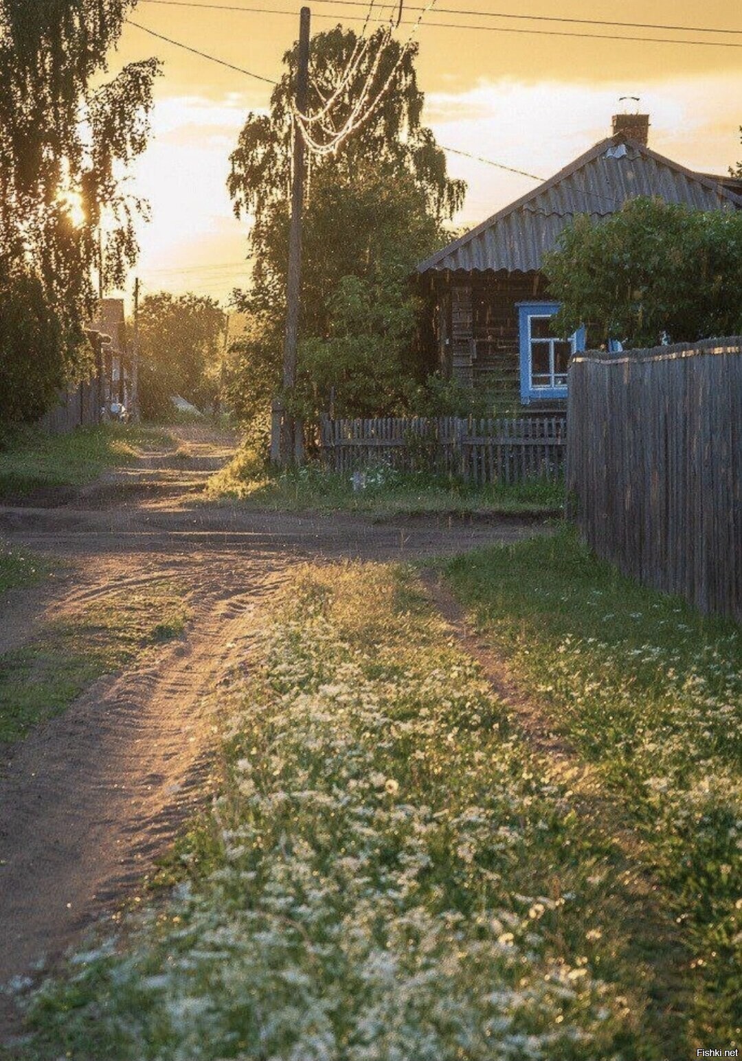 Солянка