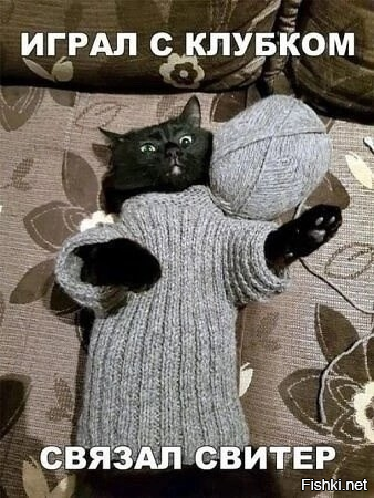 Кот маминой подруги 