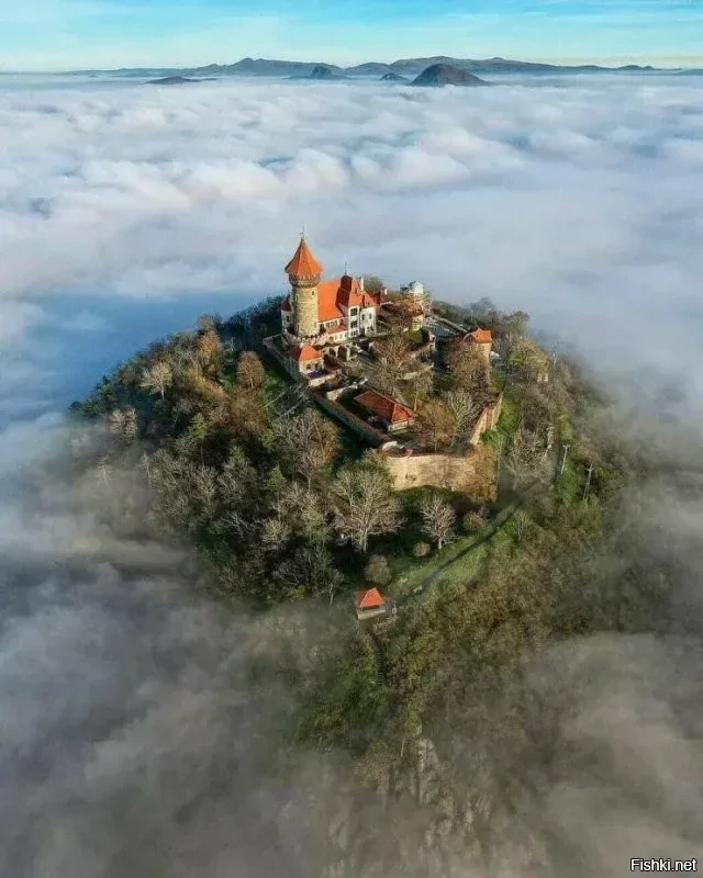 Солянка