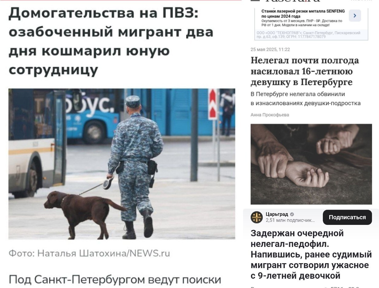 Антирекорд. За один день среднеазиаты умудрились изнасиловать 3 ребёнка по России