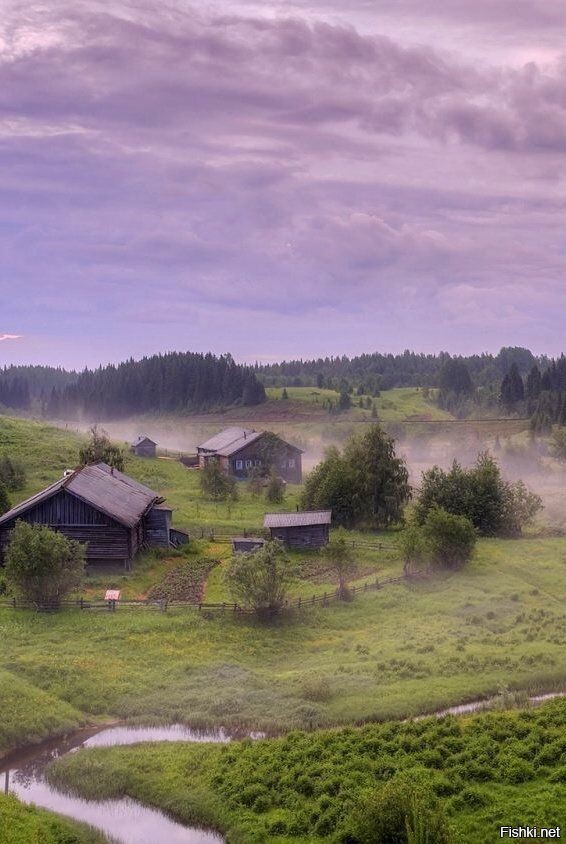 Солянка