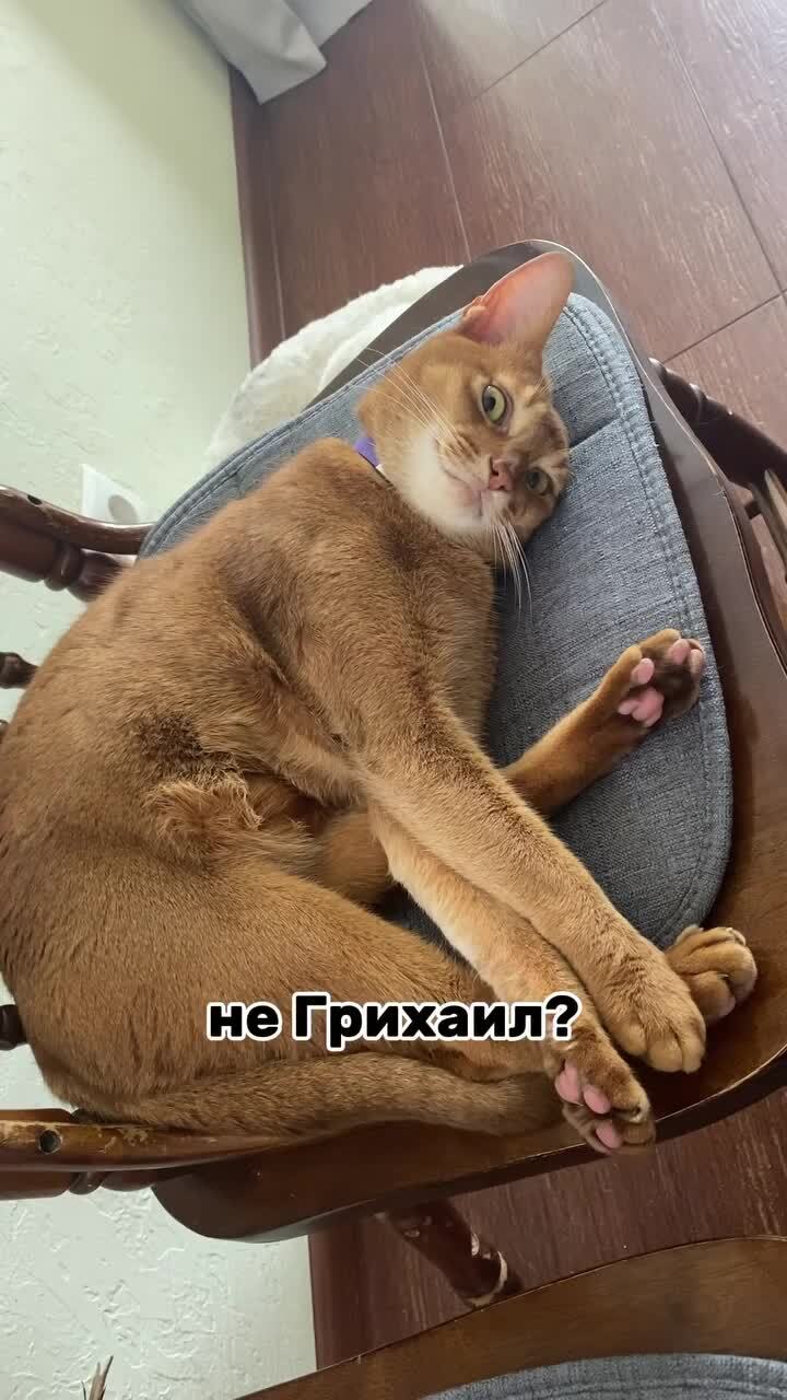Мысли перед сном