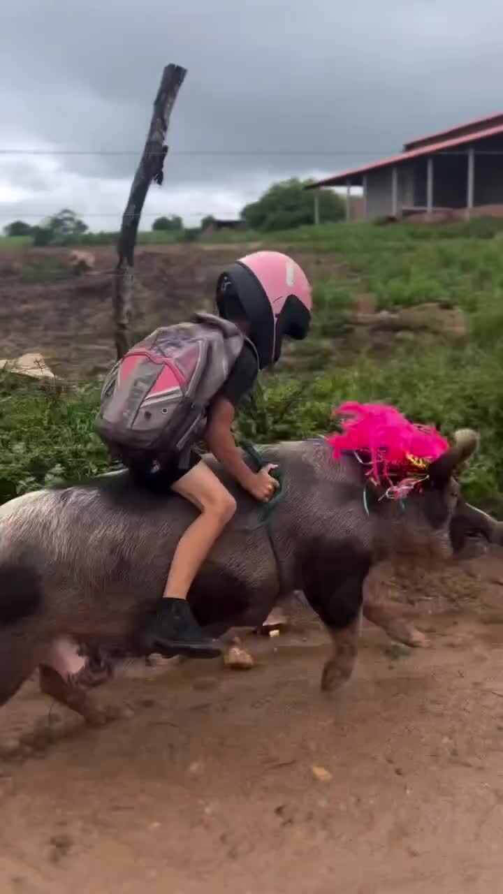 Попутка до школы  