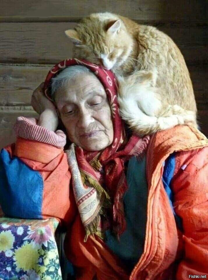 Мы с котом стареем втихомолку: 