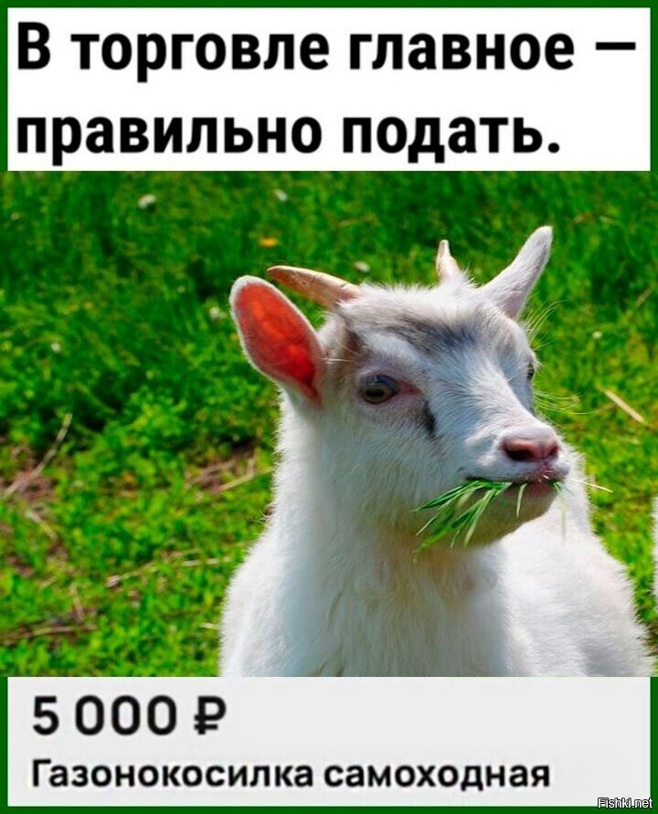 С бородой дешевле