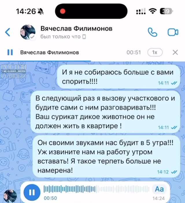 Домовые чаты пора выносить в отдельные виды извращений