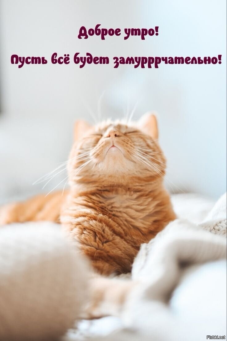 С добрым утром и с хорошим новым днём