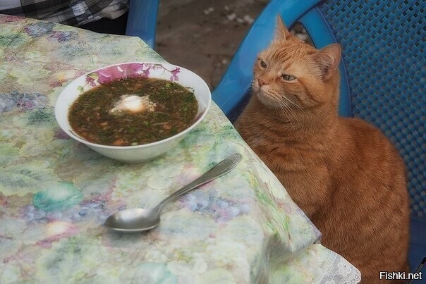 Доброе утро