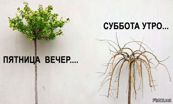 Наконец-таки ПЯТНИЦА