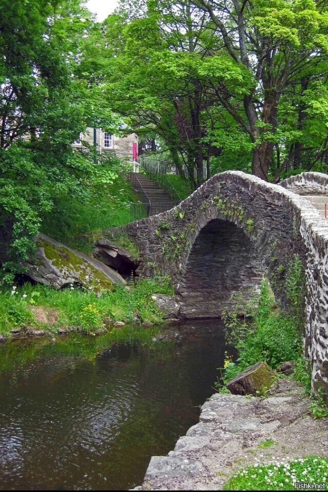 Солянка
