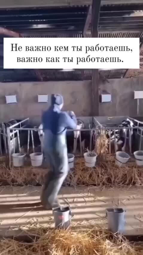 Доброе утро, страна