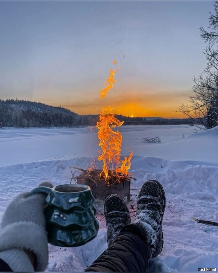 Солянка
