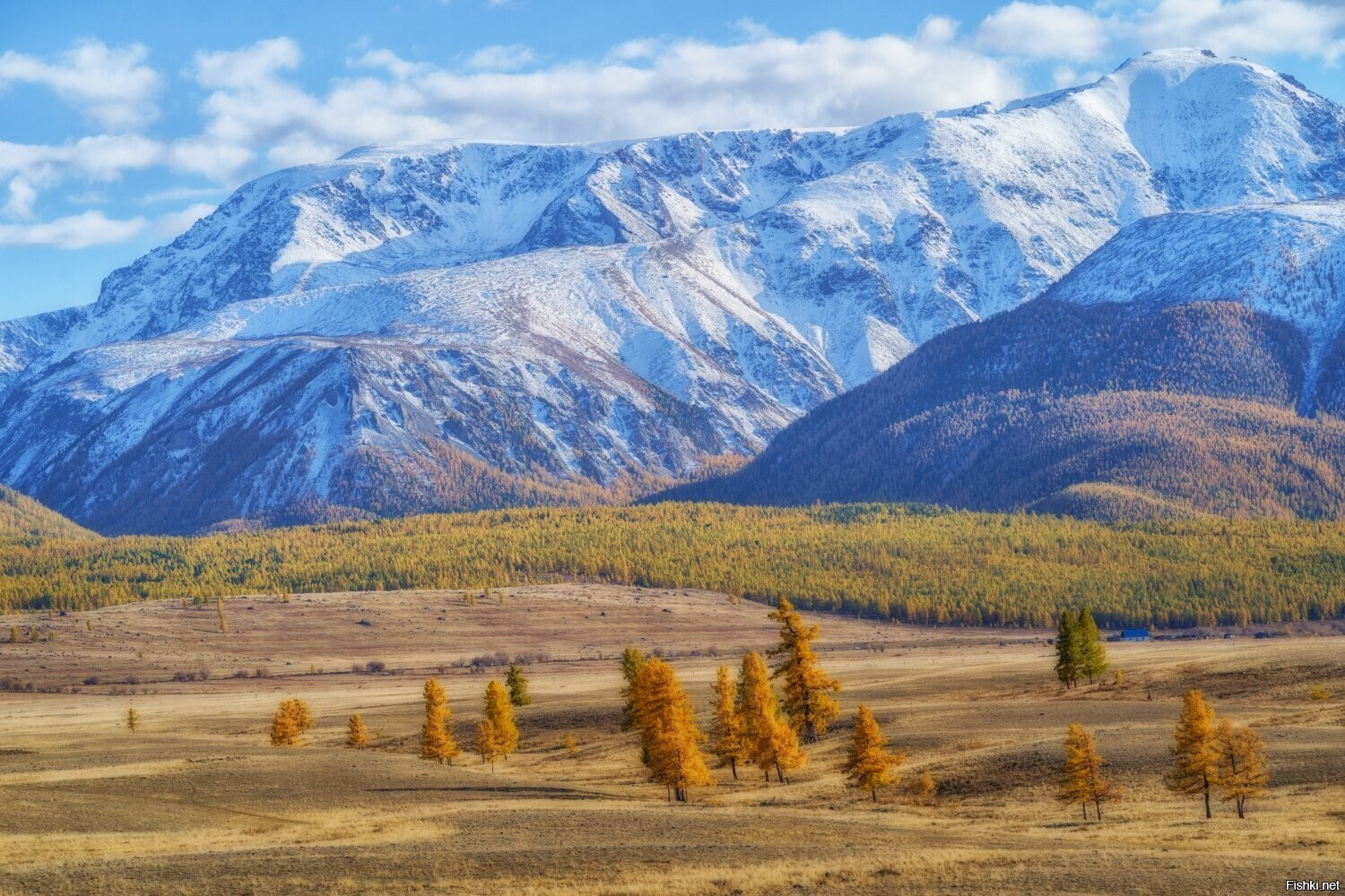 Солянка