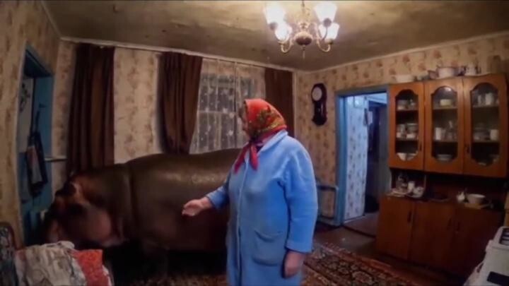 Солянка
