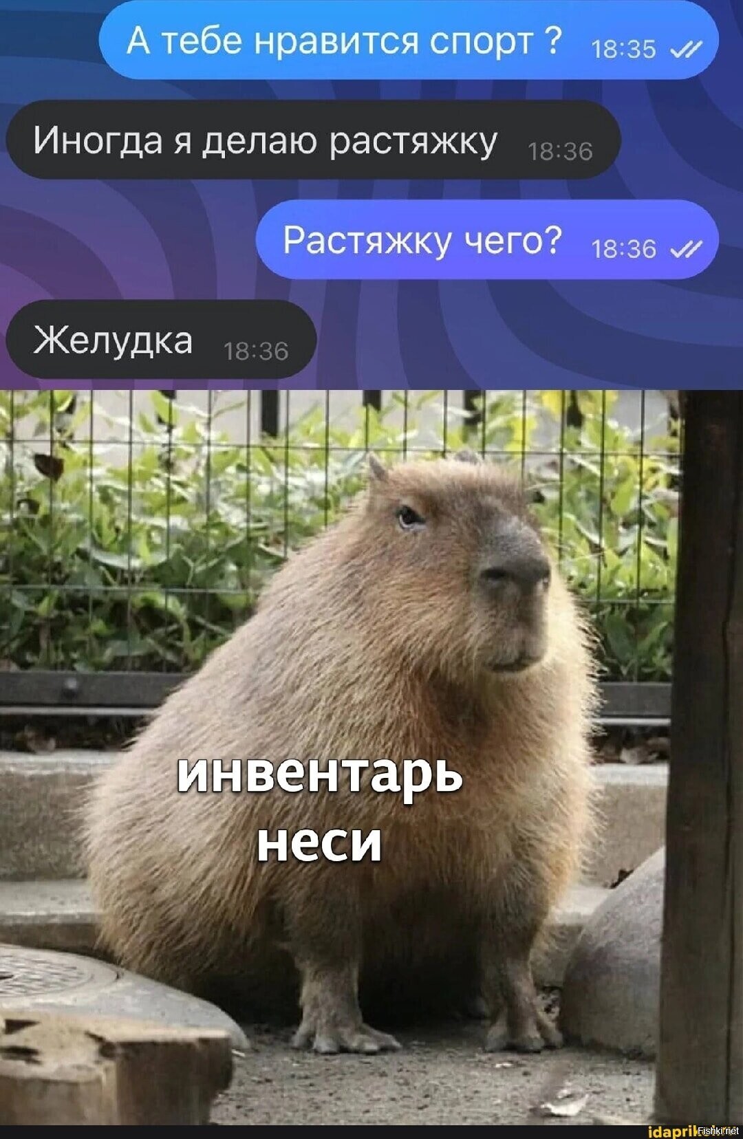 Солянка