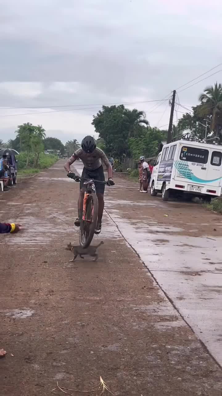 Профи