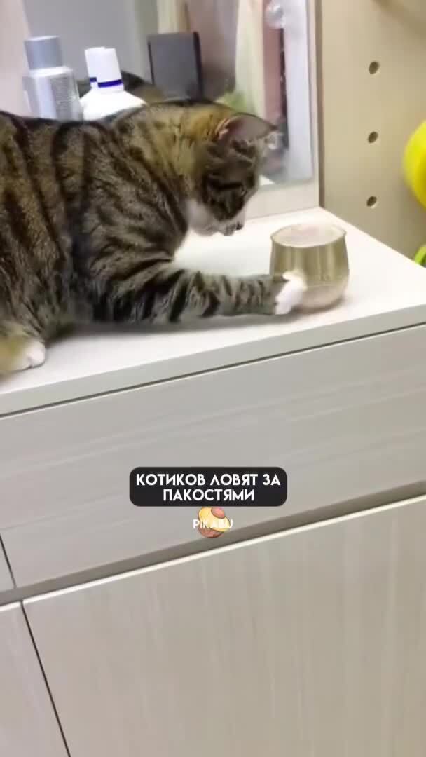 Хитрюги)