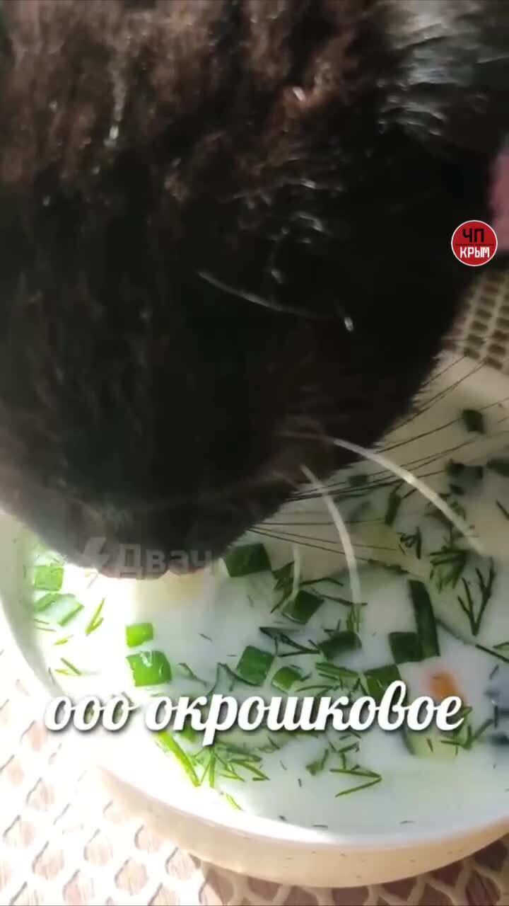 Сегодня день окрошки 