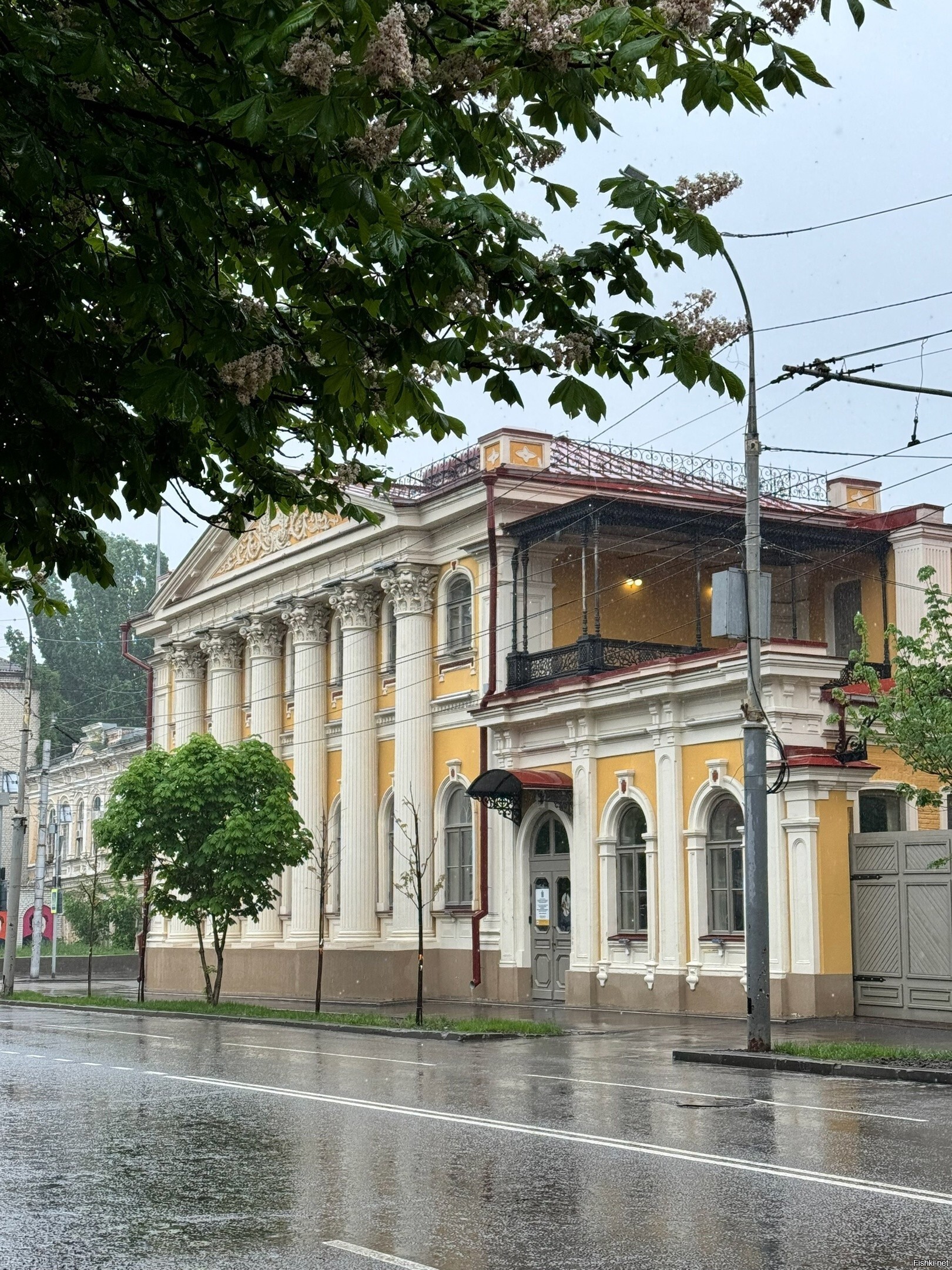 Солянка