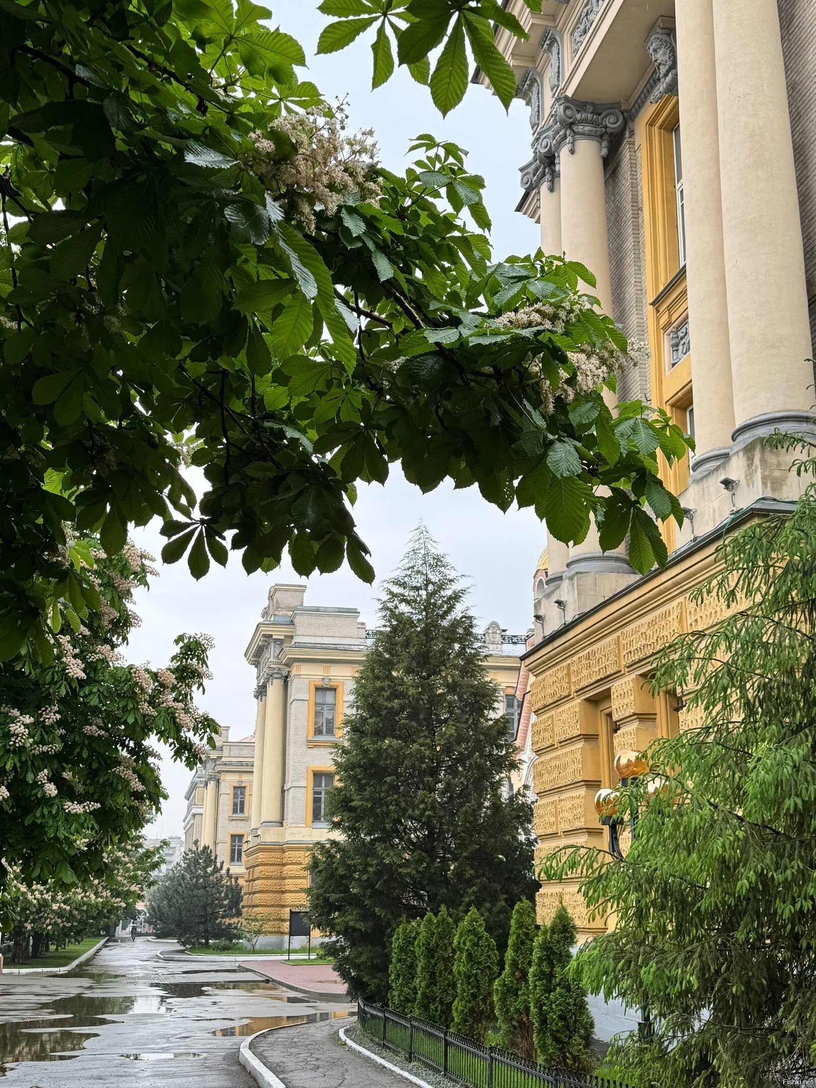 Солянка