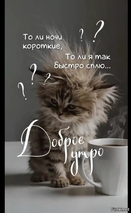 Доброе Утро