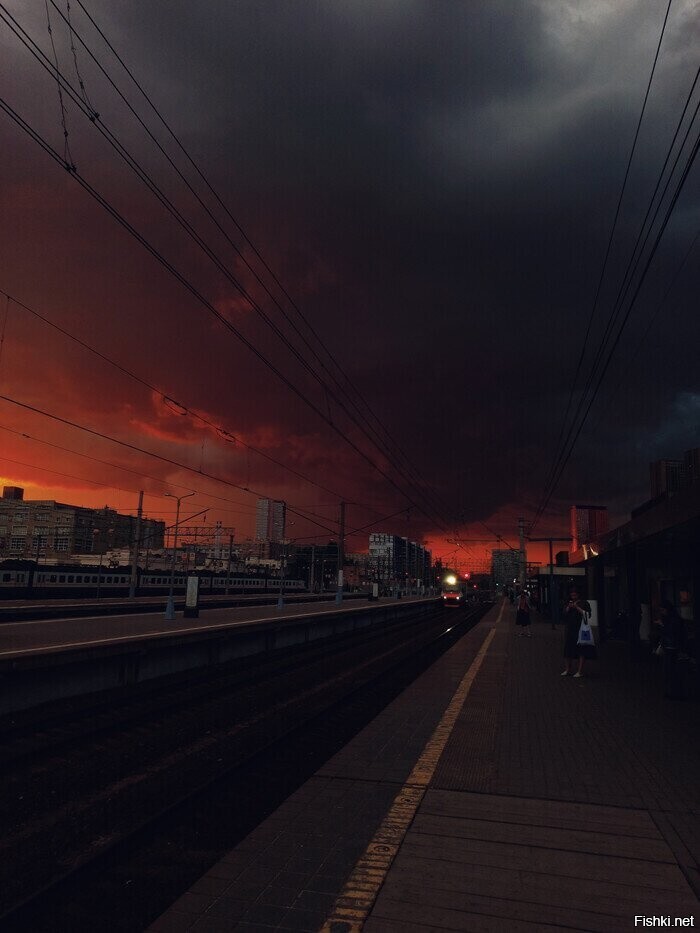 Солянка