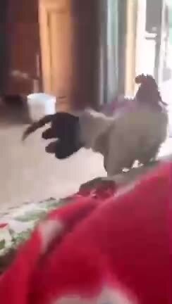 Утро