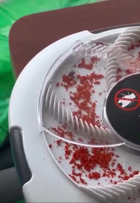 ловушка для мух
