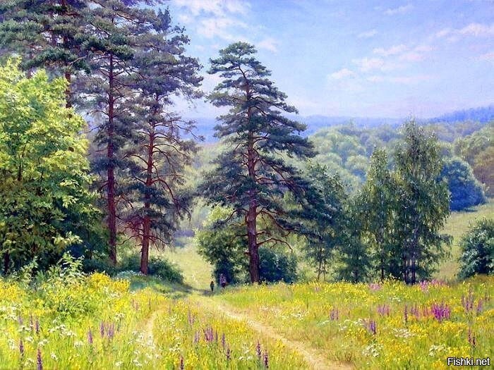 Солянка