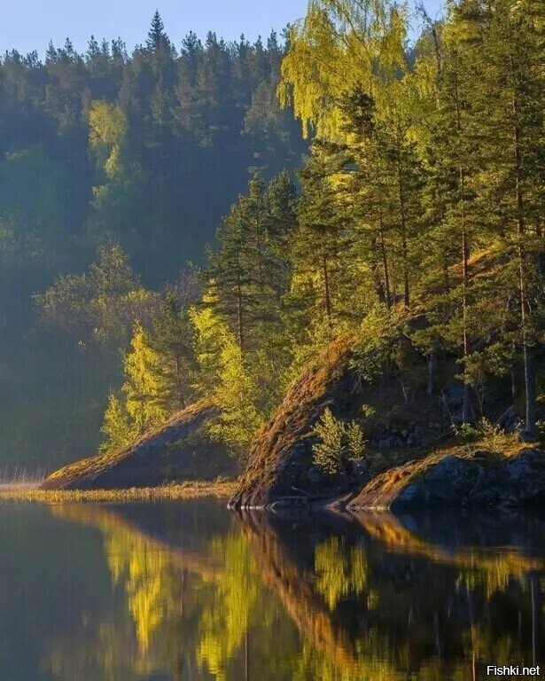 Солянка