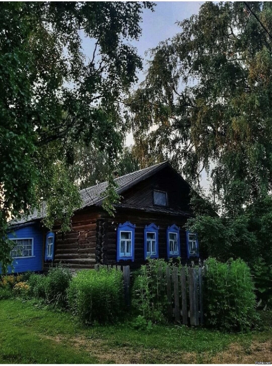 Солянка