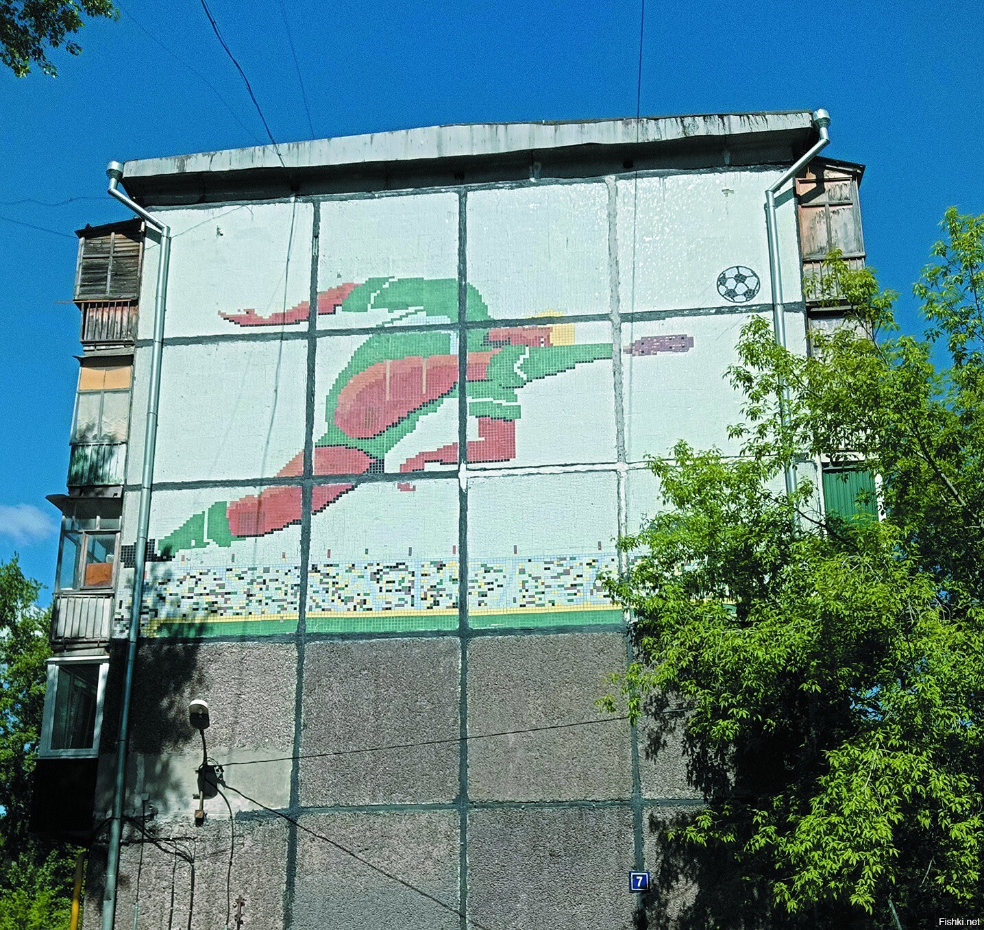 Солянка