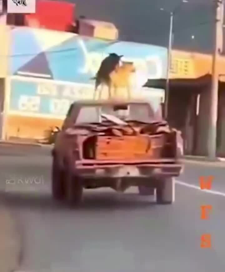 Да чё вы знаете об экстриме