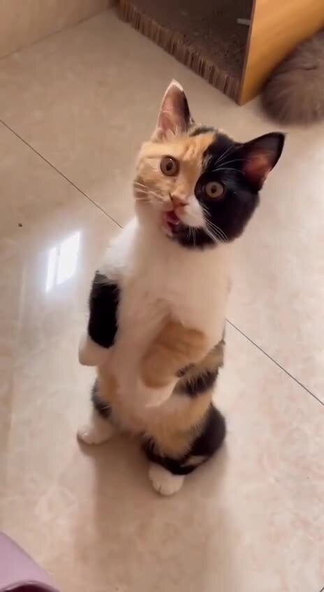 Где