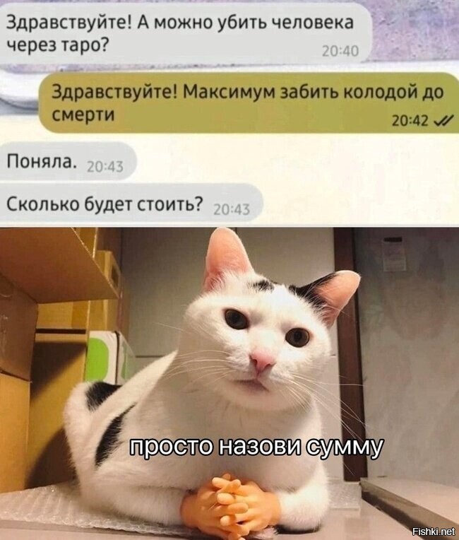Солянка