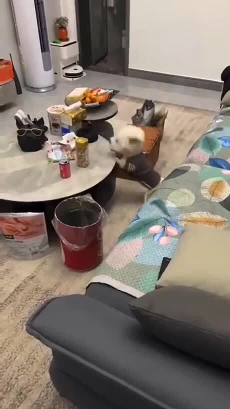 Солянка